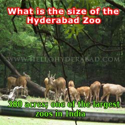 Hyderabad History